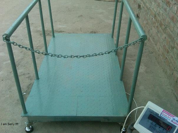 Cattle Market Weighing Scales for Accurate Sale Readiness Pricing