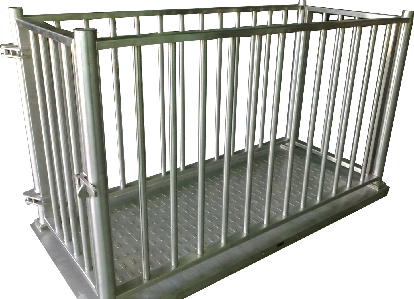 Cattle Market Weighing Scales for Accurate Sale Readiness Pricing