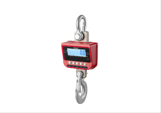 Crane Weighing Scales Price List In Uganda