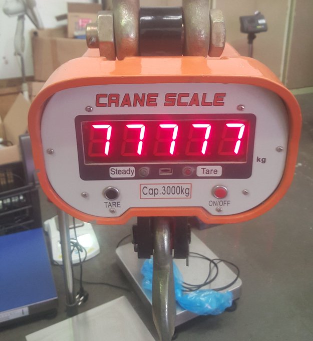 Crane Weighing Scales Price Trend In Uganda