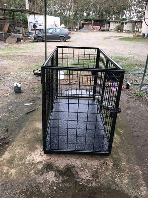 Electronic Cattle Scales Kampala – Ensure Transport Compliance