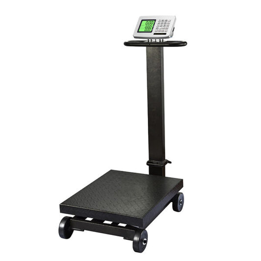 Durable Iron Platform Weighing Scale, 500Kg Industrial TCS Bench Model