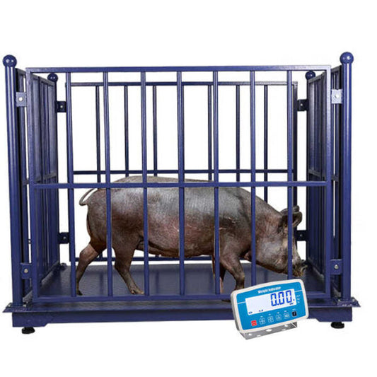 Digital Pig Weighing Scale