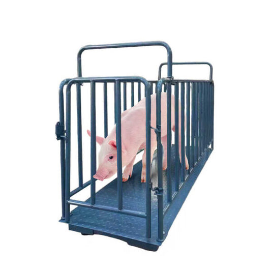 Animal Weighing Digital Platform with Indicator, Heavy-Duty Livestock Scale