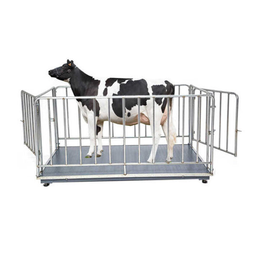 Digital Platform Scale for Livestock, Goat & Cow Weight Equipment