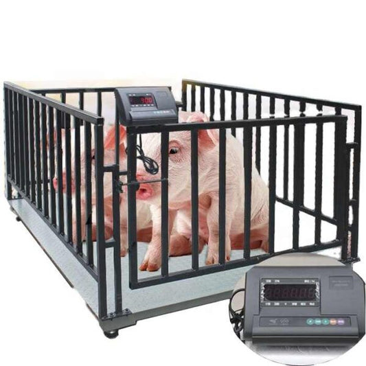 Digital Weighing Scale For Pigs
