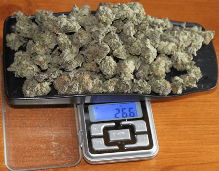 Jewelry Weighing Scales Price In Uganda