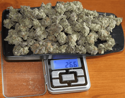 Jewelry Weighing Scales Price In Uganda