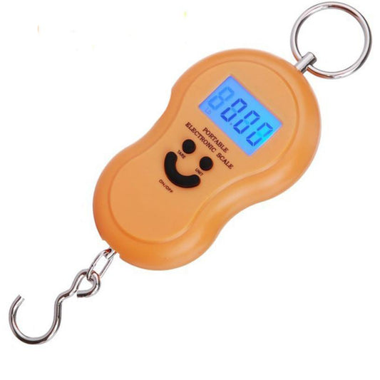 Hot 50kg/10g Electronic Scale Portable Scale Spring Scale Kilogram Fruit Food Weighing Luggage Hanging Electronic Hook Scale