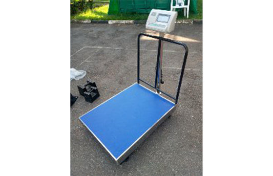 Digital Platform Weighing Scales Supplier in Uganda