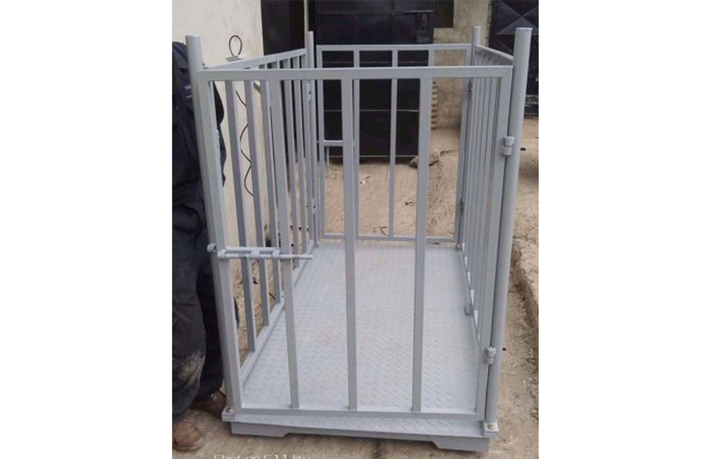 Electronic cattle scales in Uganda