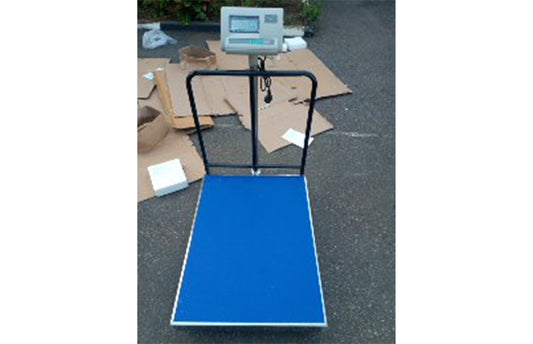 Platform Weighing Scales Shop