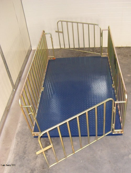 Veterinary Weighing Scales for Correct Drug Dosage in Pigs