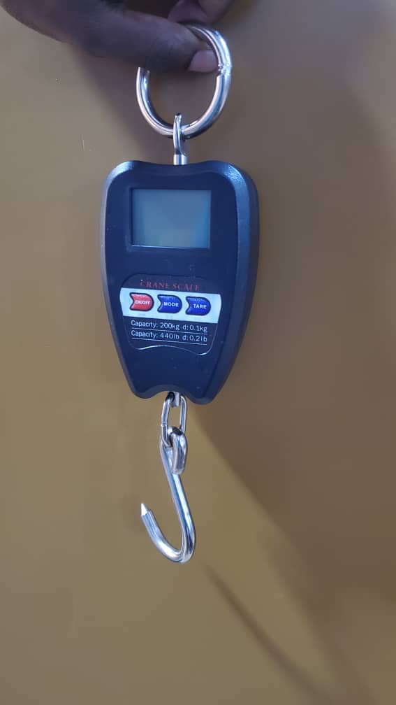 Where can I buy Mini Crane Weighing Scales Light Duty in Kampala Uganda