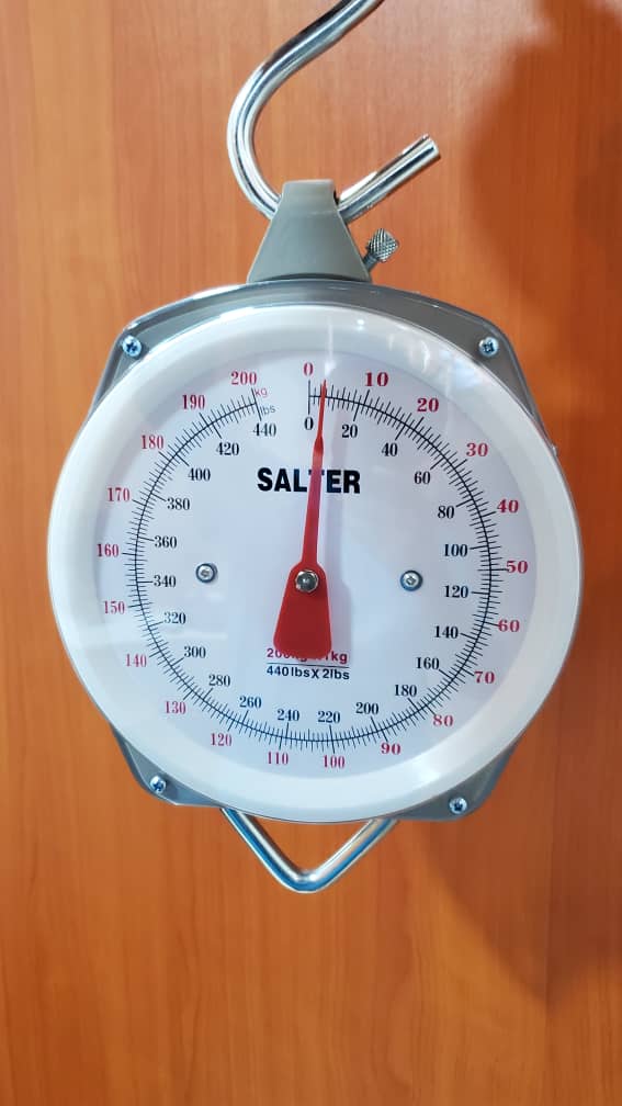 What is the price of Salter light duty Weighing Scale in Kampala