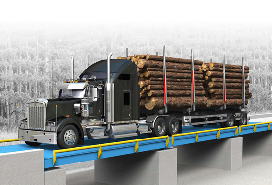 Weighbridge Equipment Supplier In Uganda