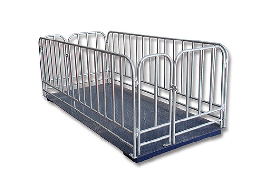 Heavy Duty Cattle Scales Online for Farms & Ranches