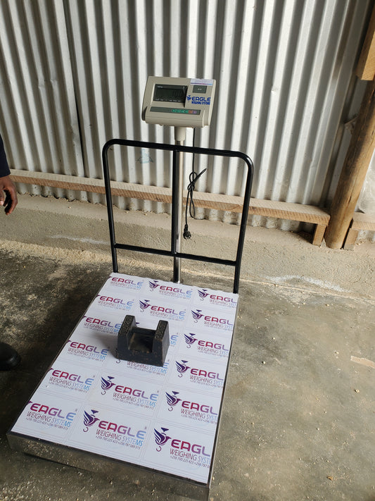 Where to buy Wiseup pallet weighing scale near me in Kampala