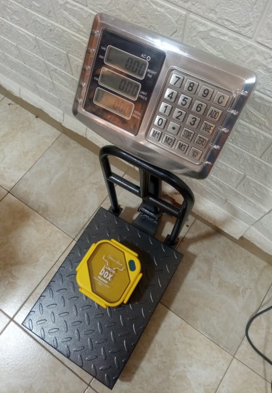 Wiseup pallet weighing scale Company in Kampala