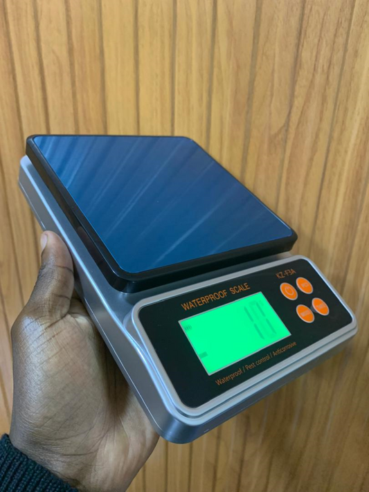 Price of Stainless Steel Waterproof Kitchen Weighing Scale KZ-169 in Uganda
