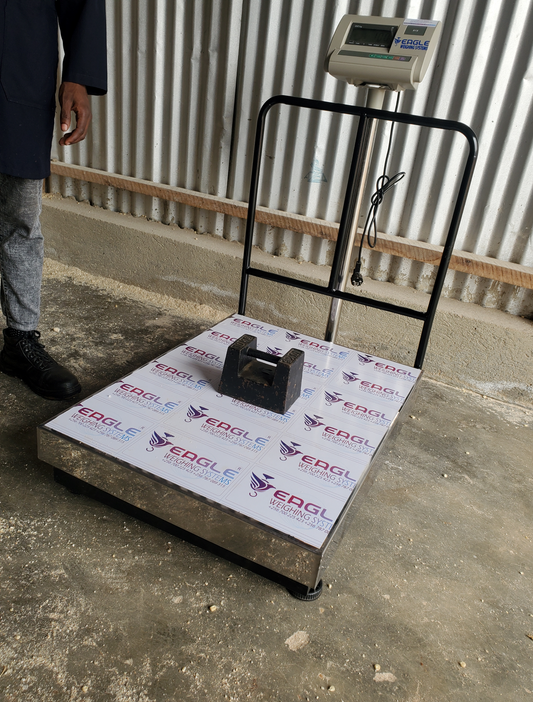 Where to buy Wiseup pallet weighing scale in Uganda