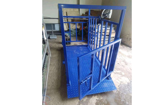 Accurate Dairy Cow Weighing Scale for Milk Production Management