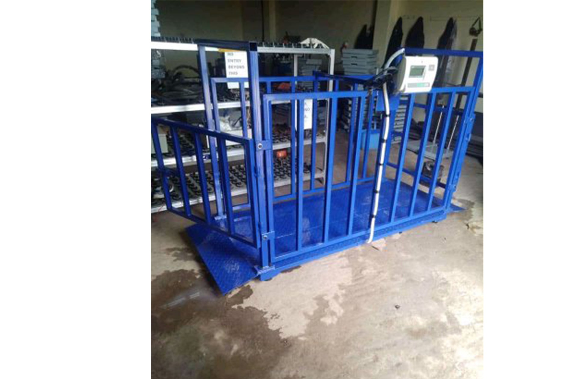 Affordable Digital Pig Scales Uganda – Perfect for Smallholder Farmers