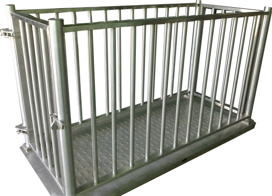 Cattle Market Weighing Scales for Accurate Sale Readiness Pricing