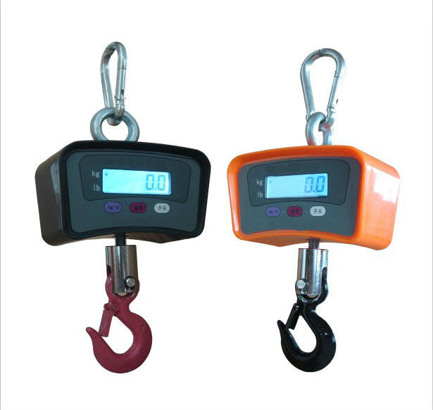 Crane Weighing Scales Vendor In Uganda 