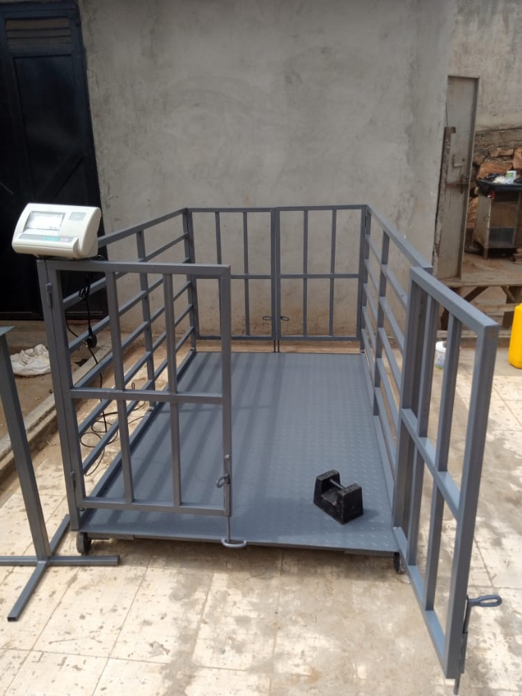 Dairy Cow Weighing Scales Kampala – Reliable Equipment for Milking Areas
