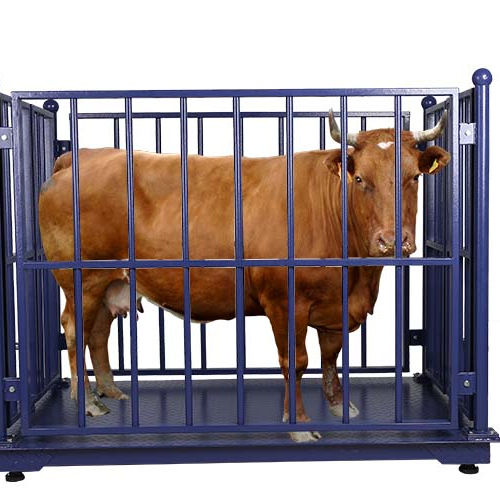 4 Ton Animal Livestock Weighing Scale