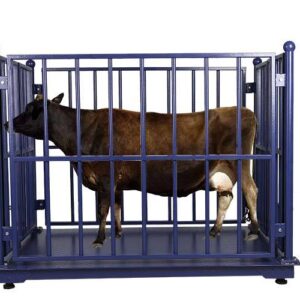 1,3,5 ton animal weighing caged scale