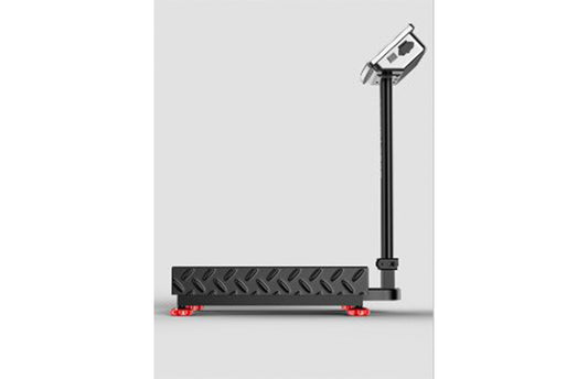 Commercial Platform Weighing Scales Price in Uganda