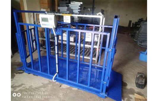 Animal weighing machine company in Uganda