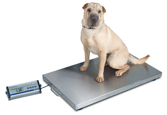 Portable animal weighing scales company in Uganda
