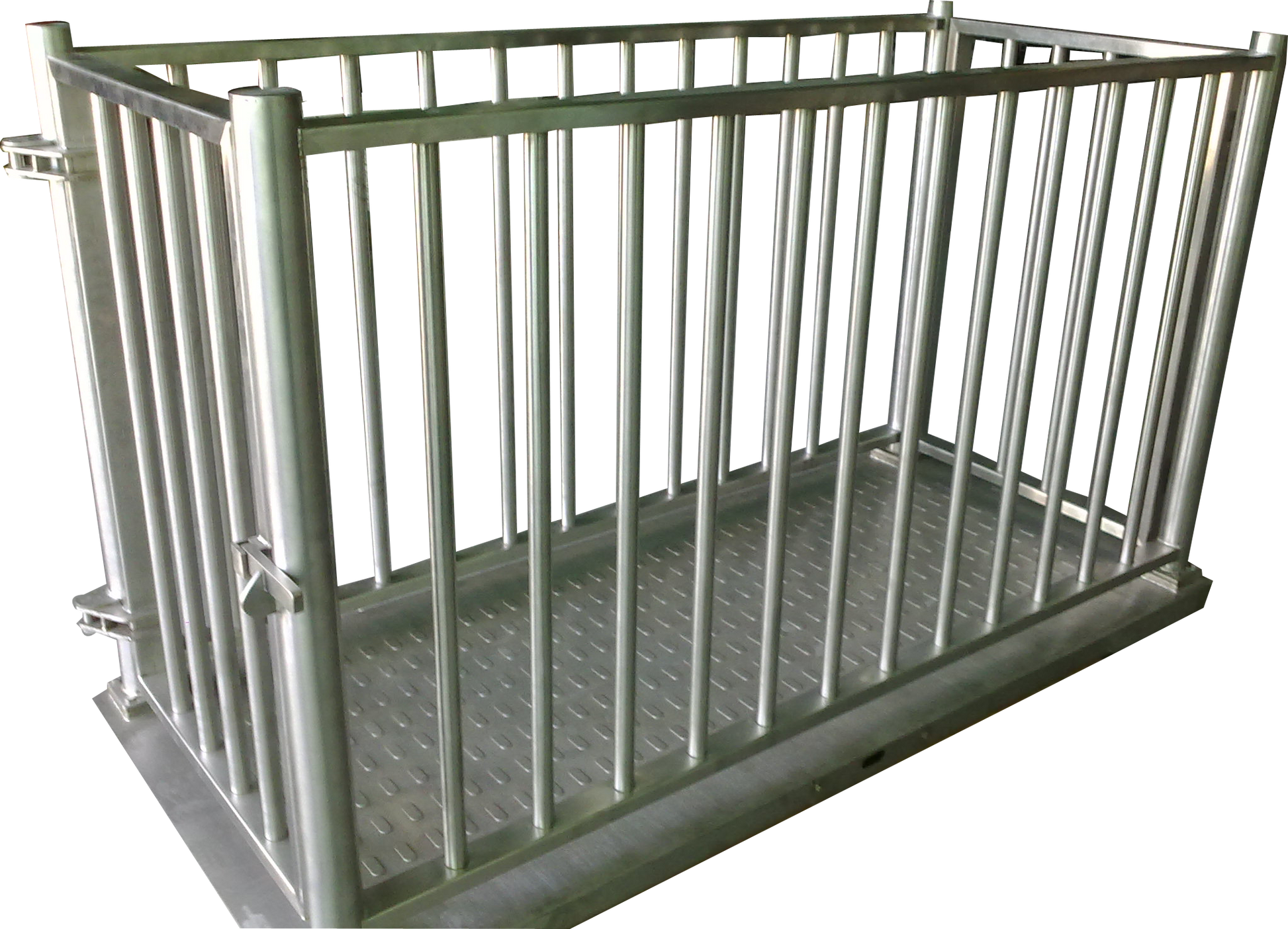 Veterinary Weighing Scales for Correct Drug Dosage in Cattle