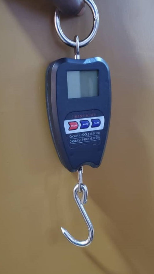 Cost of Mini Crane Weighing Scales Light Duty in Uganda