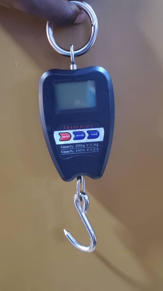 Mini Crane Weighing Scales Light Duty shop in Uganda