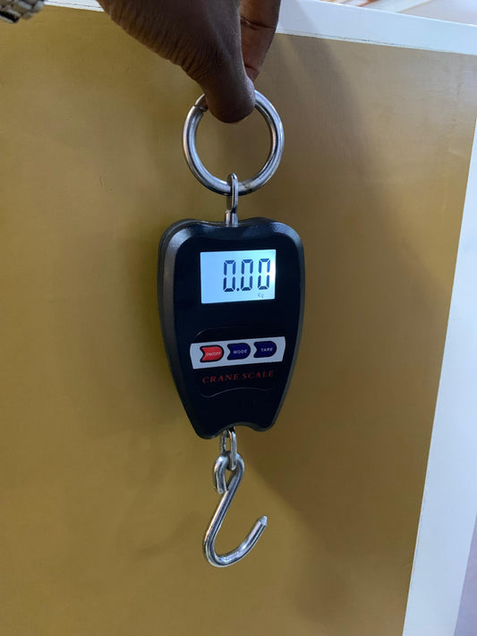 How much is Mini Crane Weighing Scales Light Duty in Uganda