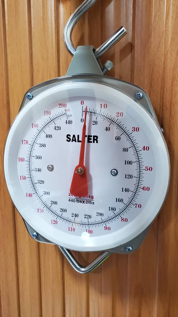 How much is Salter light duty Weighing Scale in Kampala Uganda