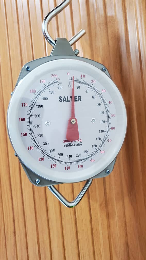 Price of Salter light duty Weighing Scale in Uganda