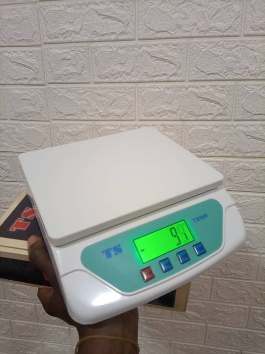 TS 500 Electronic Compact Weighing Scale supplier in Uganda